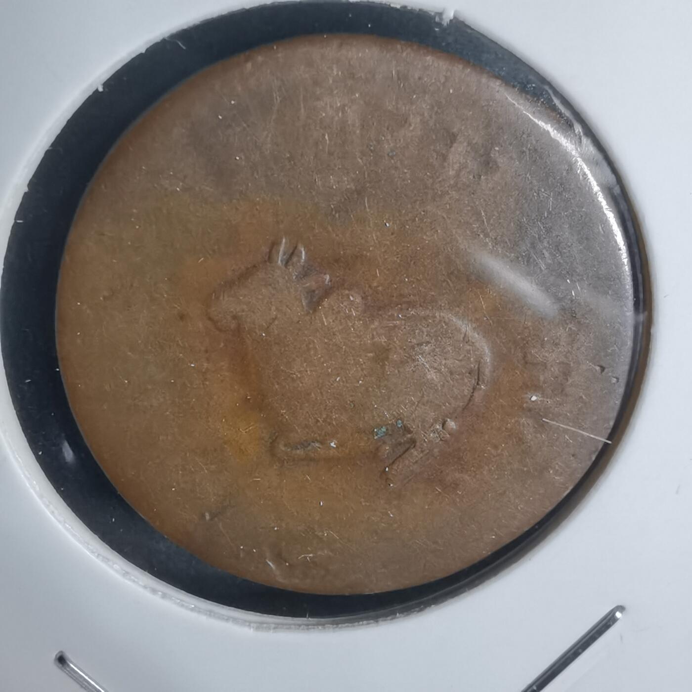 沼泽如烟--第943场