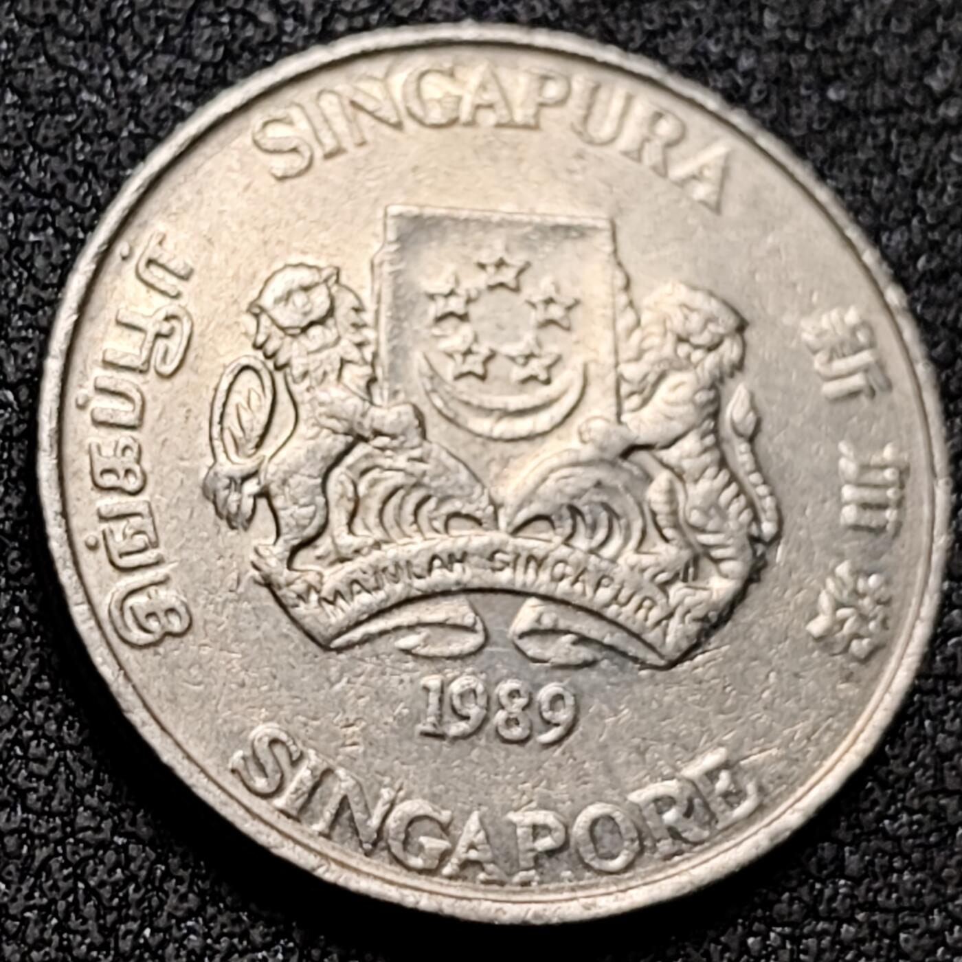 泉币菌-第153场-平安夜专场 。