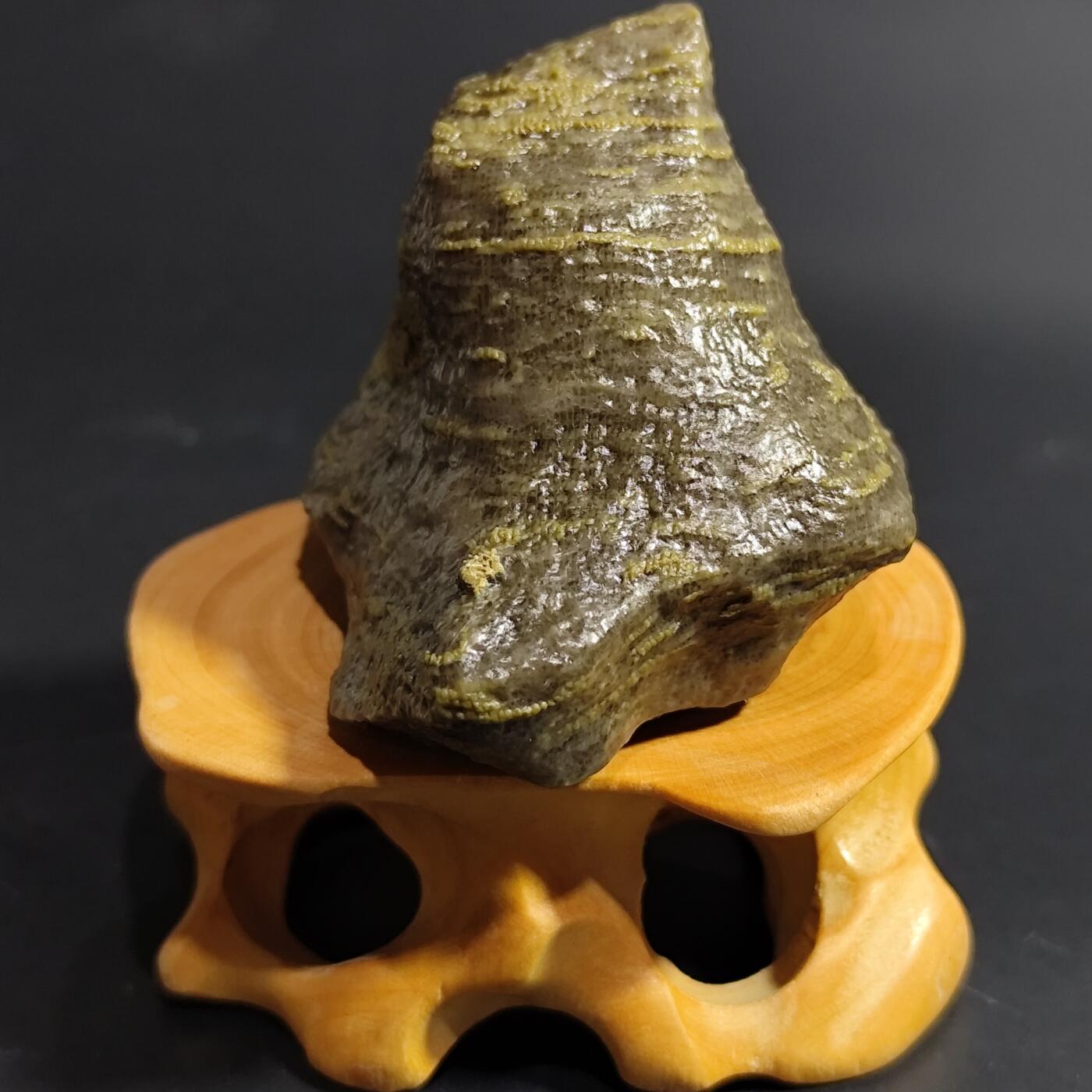 希腊罗马丝路打制币化石【中外钱币放漏】专场！陆小鱼的钱币仓，限时拍卖第080场 4.5亿年前奥陶纪时期海洋古生物化石标本83.9g