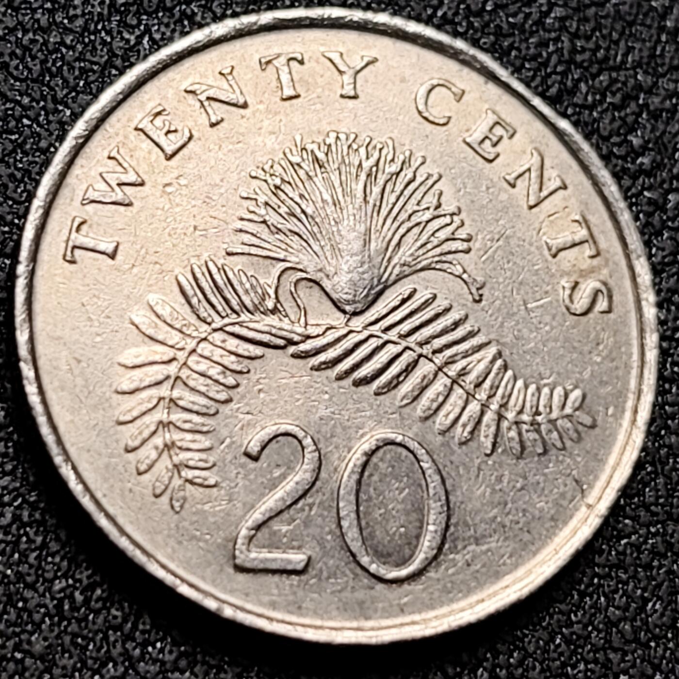 泉币菌-第153场-平安夜专场 。