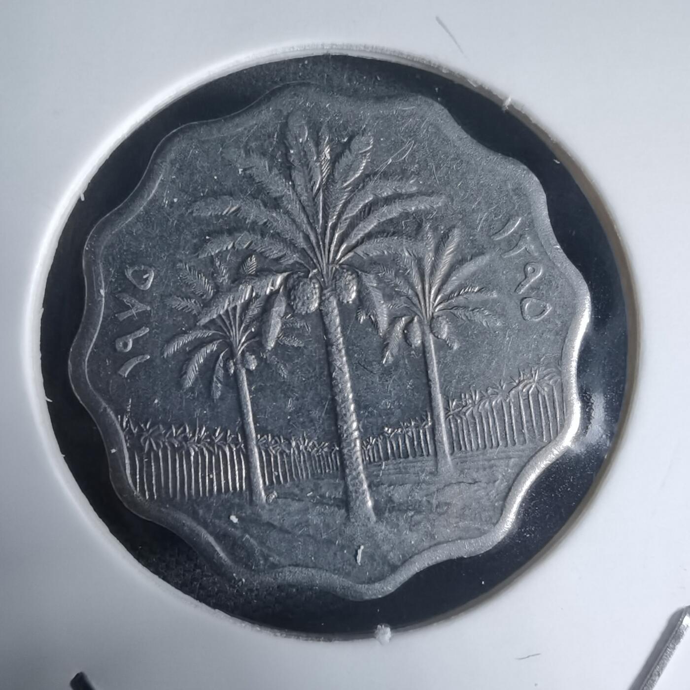 沼泽如烟--第944场