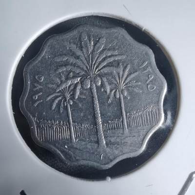 沼泽如烟--第944场 - 伊拉克