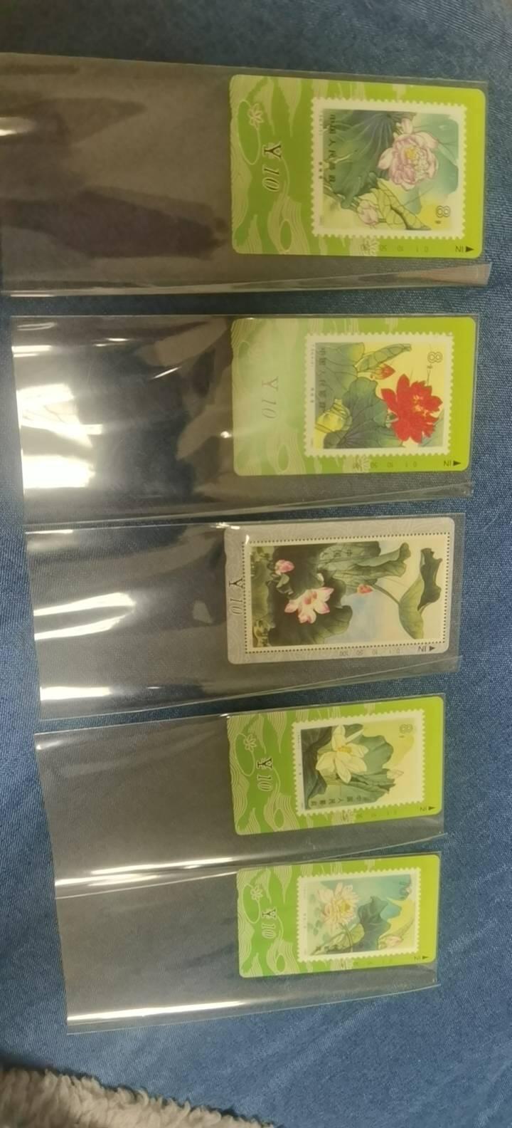 甘肃省荷花邮票田村卡