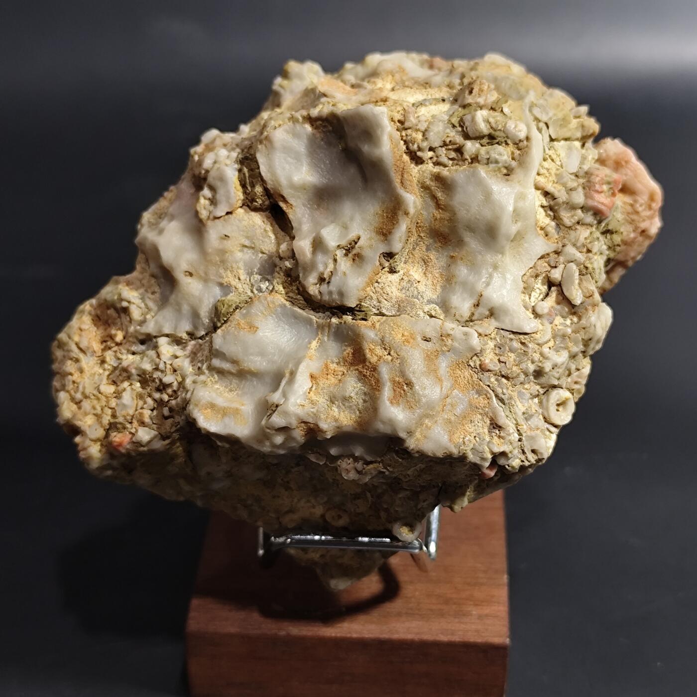 希腊罗马丝路打制币化石【中外钱币放漏】专场！陆小鱼的钱币仓，限时拍卖第080场 4.5亿年前奥陶纪时期海洋古生物化石标本278g