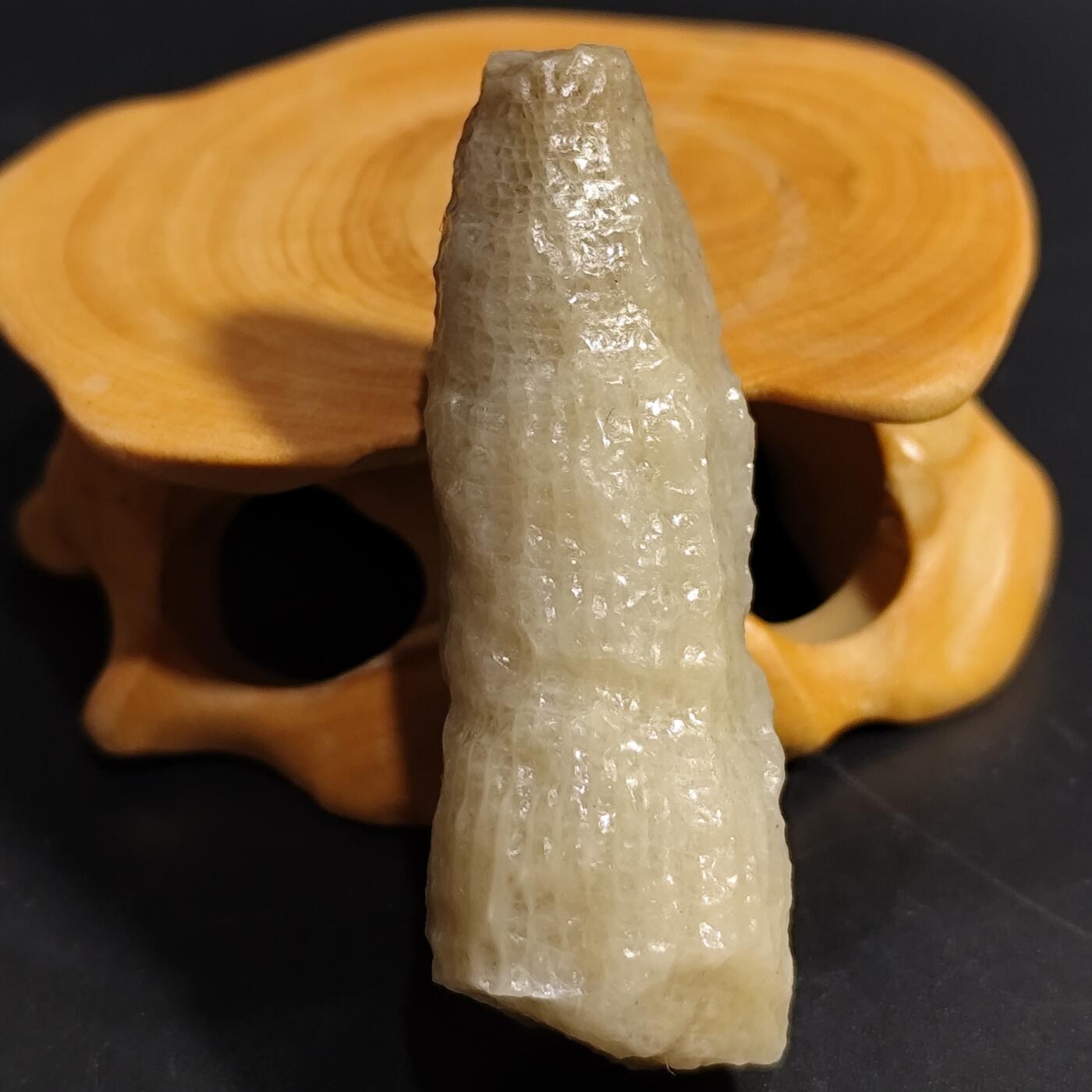 希腊罗马丝路打制币化石【中外钱币放漏】专场！陆小鱼的钱币仓，限时拍卖第080场 4.5亿年前奥陶纪时期海洋古生物化石标本18.9g