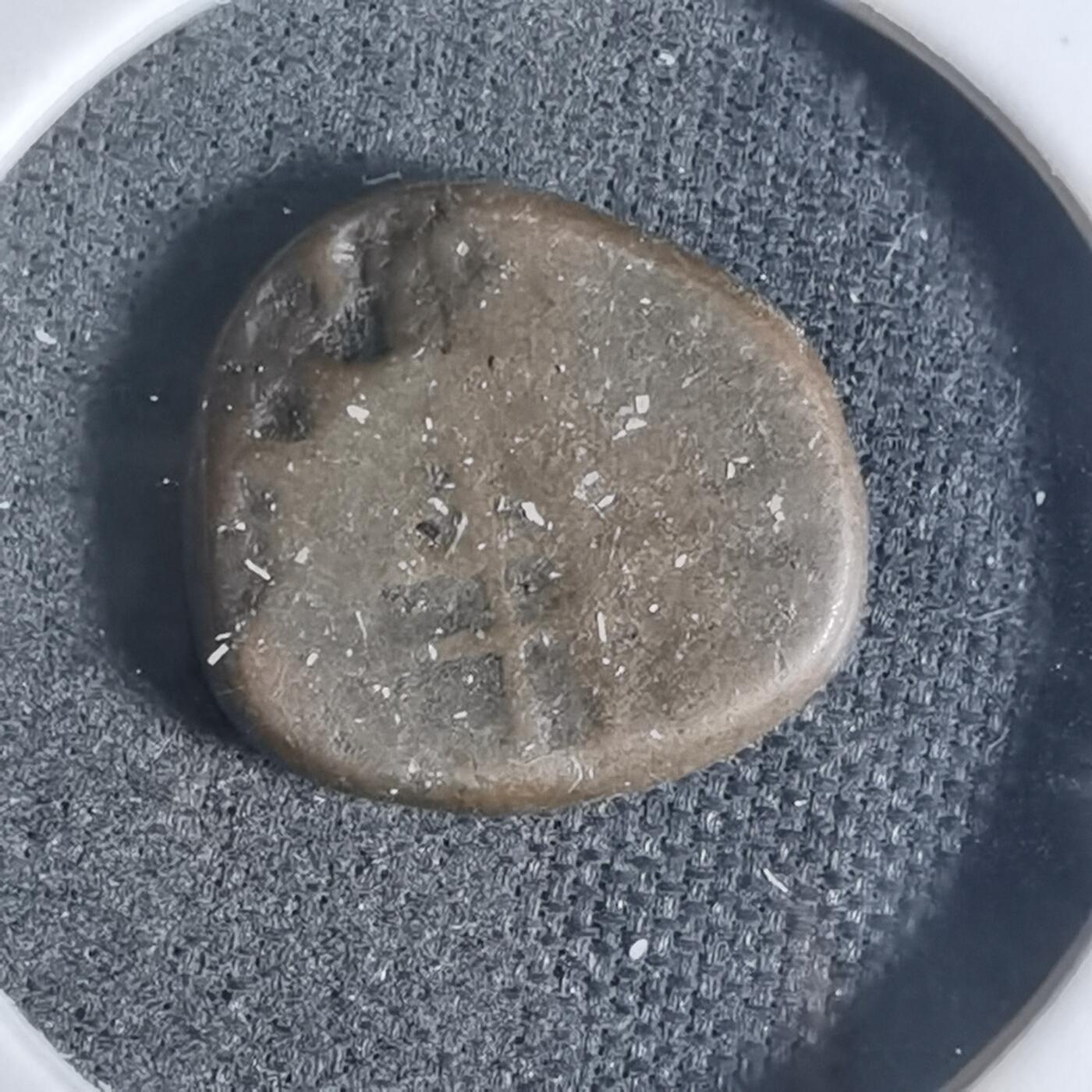 沼泽如烟--第943场 不认识