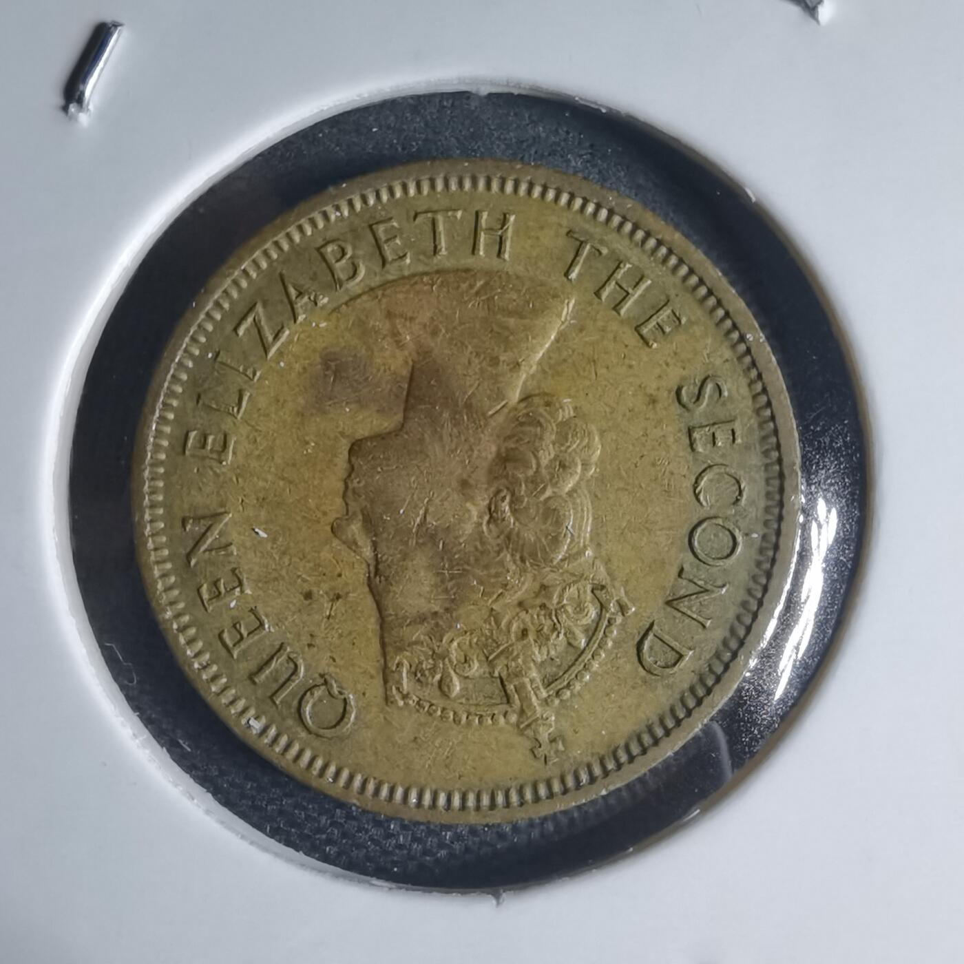 沼泽如烟--第944场