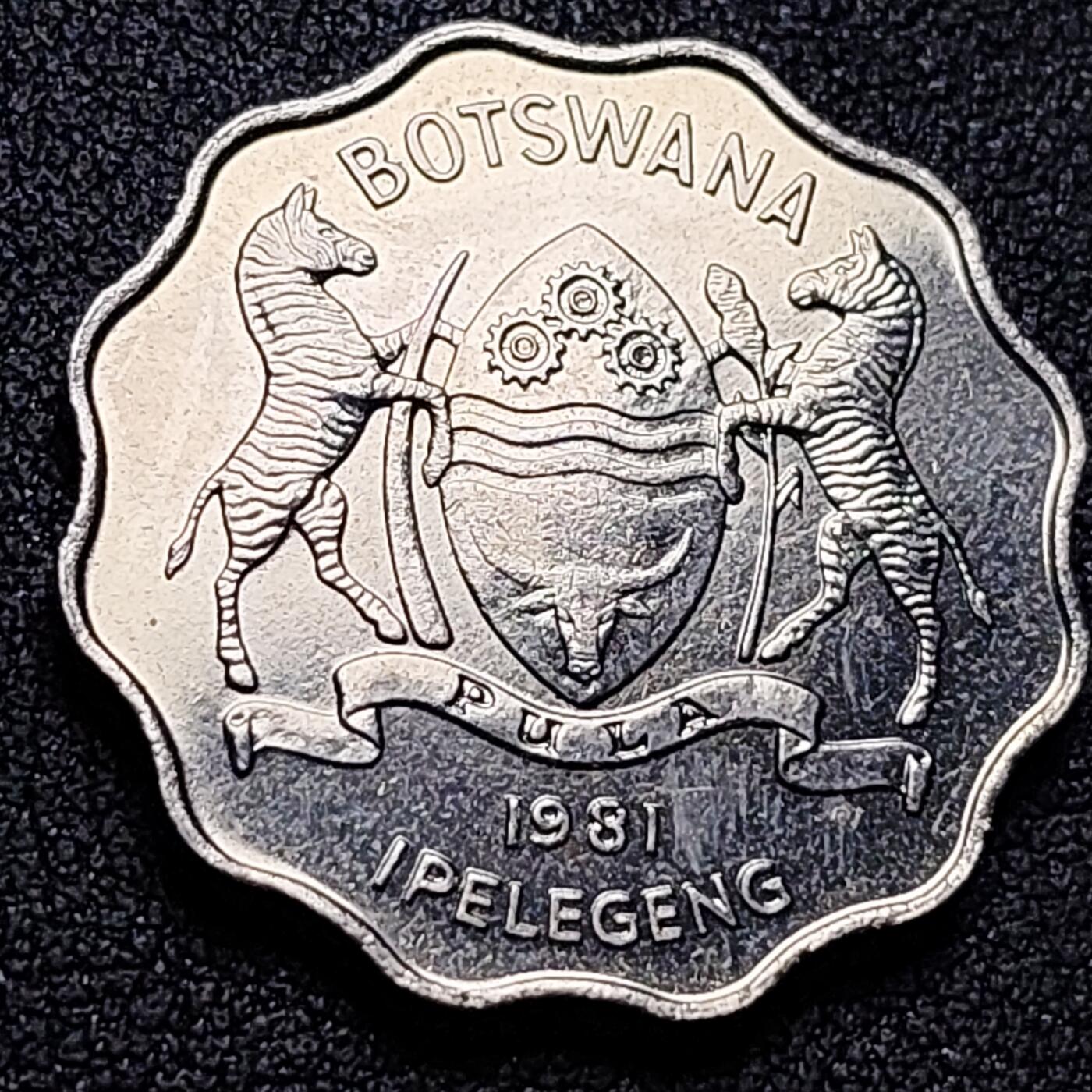 泉币菌-第153场-平安夜专场 。