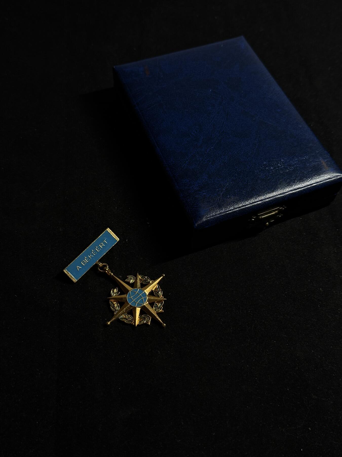 欢庆元旦！戎马世界章牌大赏第109期元旦大拍