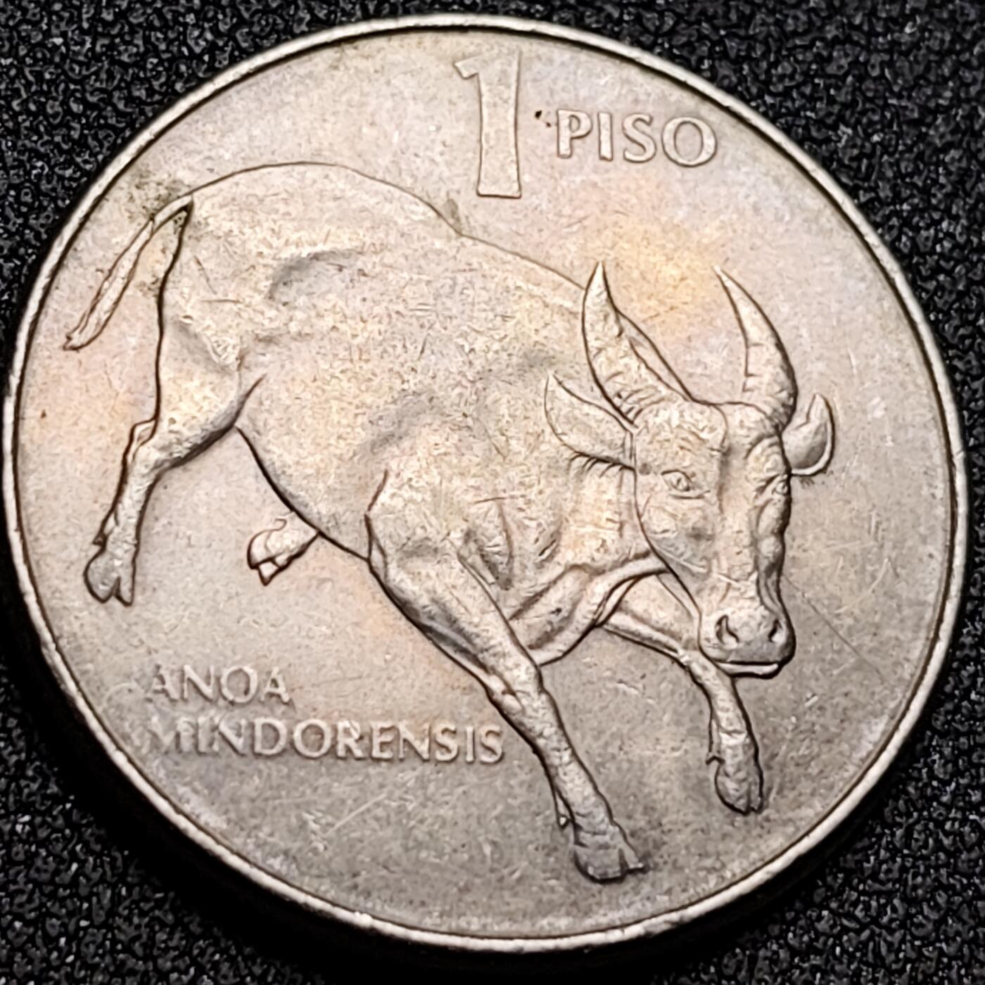 泉币菌-第154场-圣诞节专场 。