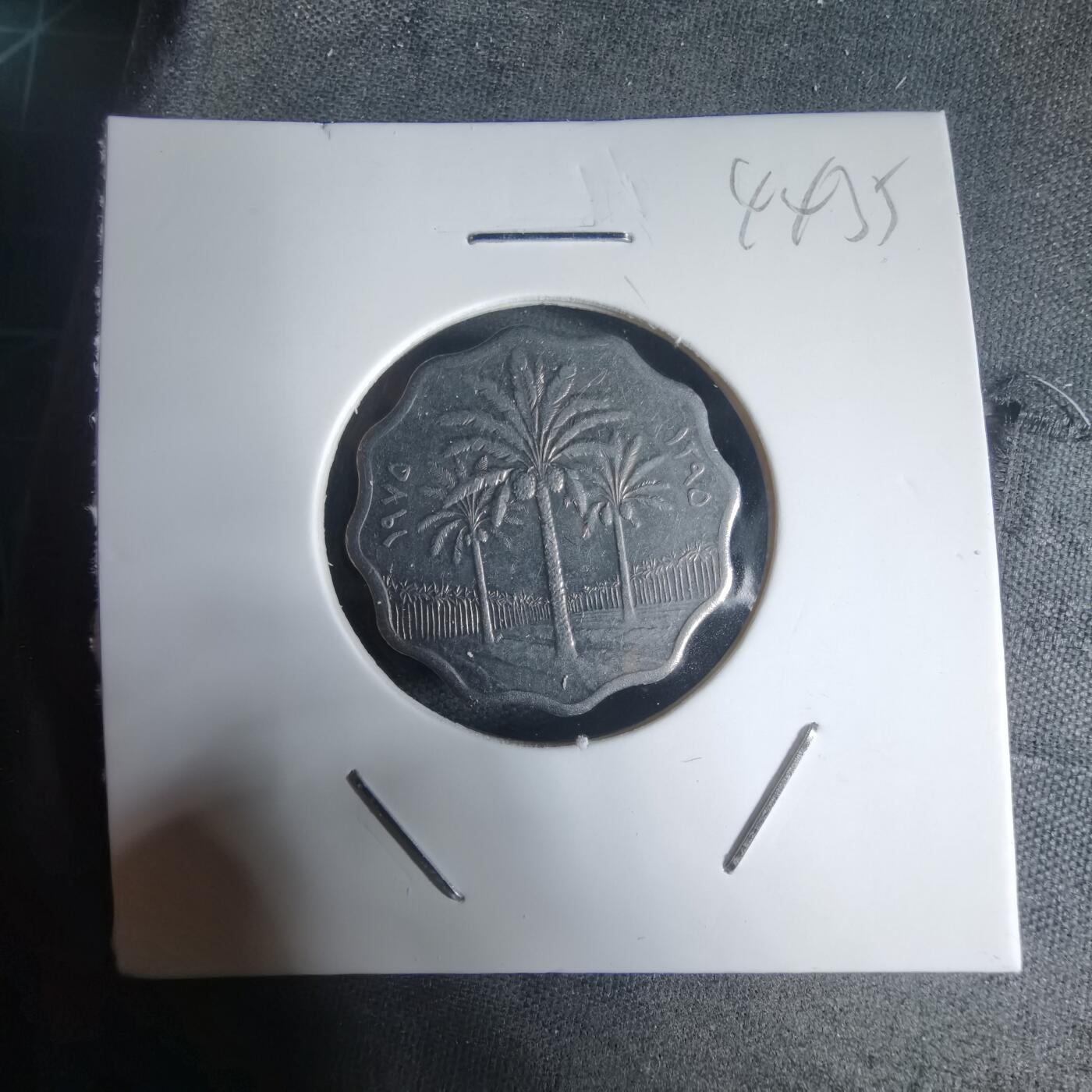 沼泽如烟--第944场