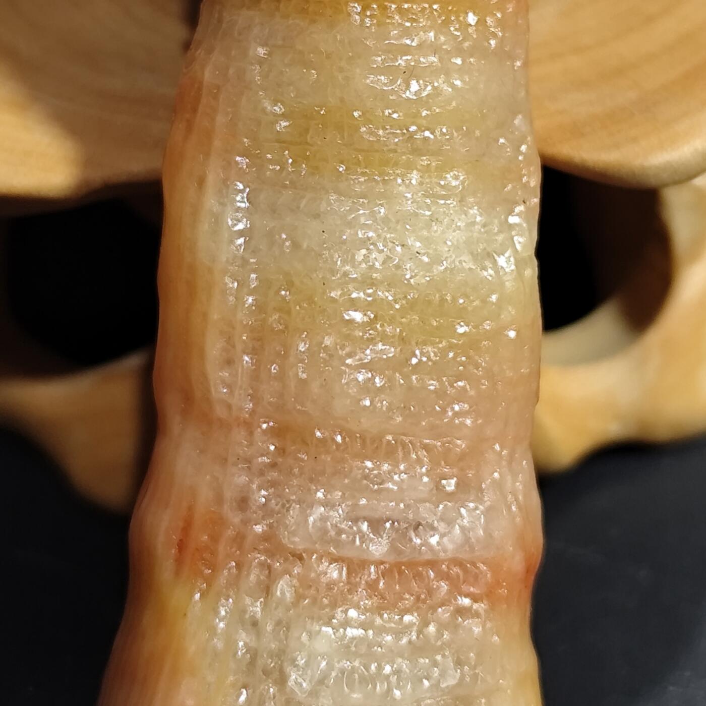 希腊罗马丝路打制币化石【中外钱币放漏】专场！陆小鱼的钱币仓，限时拍卖第080场 小精品 全玉化果冻料 彩色羊角单体珊瑚化石 4.5亿年前奥陶纪时期海洋古生物化石标本24g