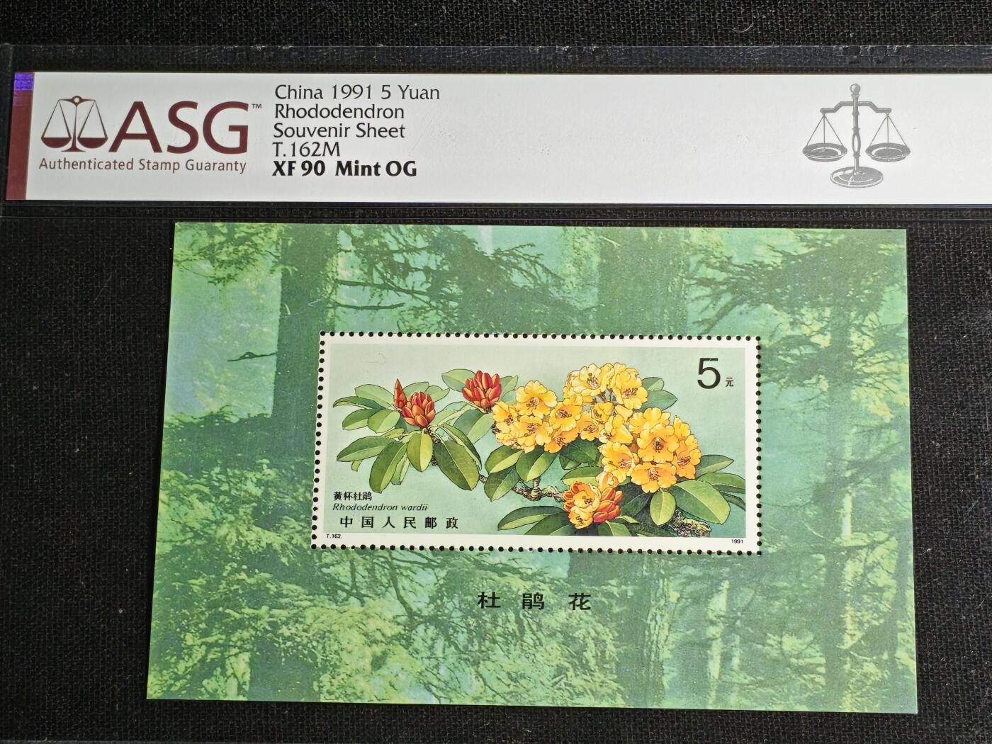 刘世昌艺术品销售中心～虎踞龙蟠*金杨在线联拍群第512期 1991年T.162.M《杜鹃花-黄杯杜鹃》 5元 特种邮票小型张（ASG  XF90  编号：1031314-013）1枚。