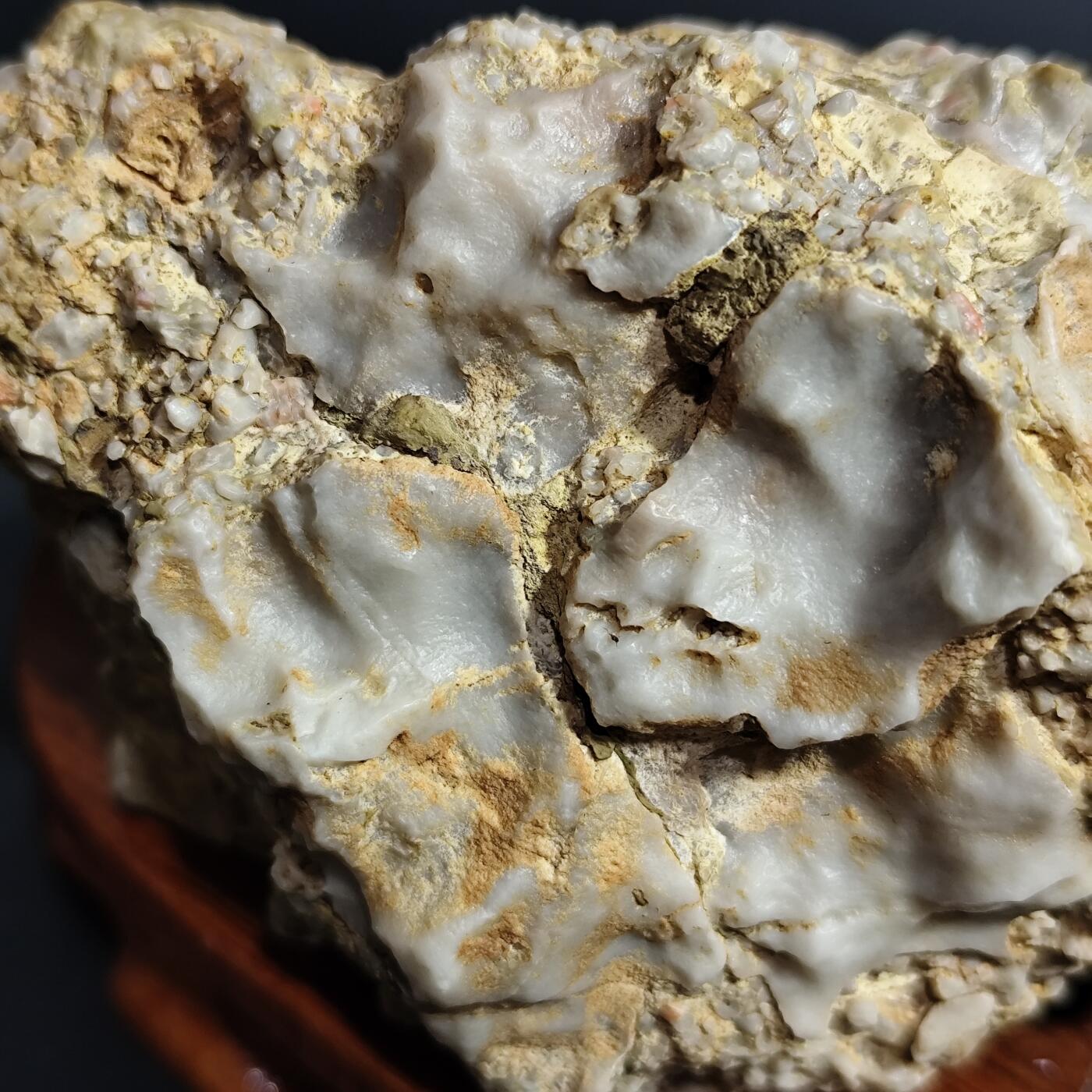 希腊罗马丝路打制币化石【中外钱币放漏】专场！陆小鱼的钱币仓，限时拍卖第080场 4.5亿年前奥陶纪时期海洋古生物化石标本278g