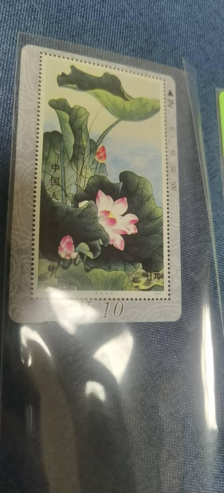 甘肃省荷花邮票田村卡