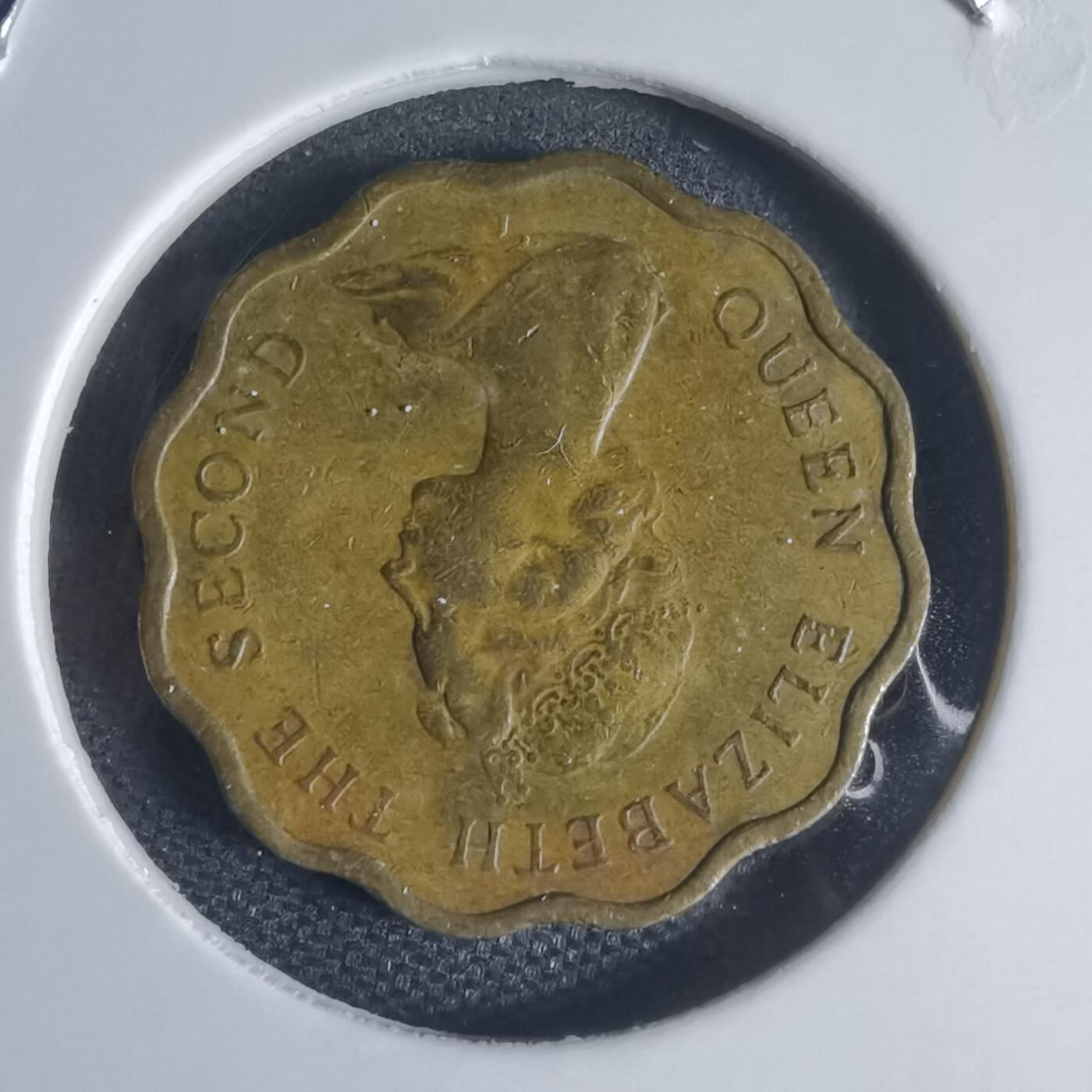 沼泽如烟--第944场