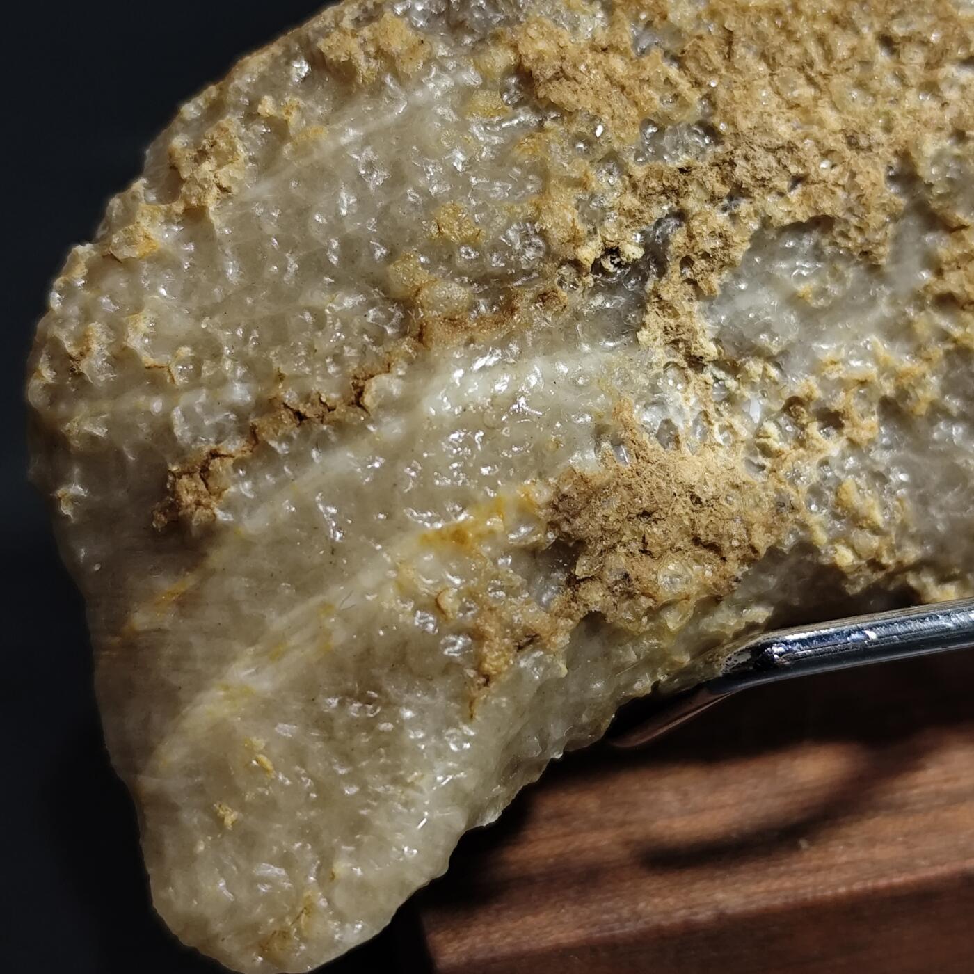 希腊罗马丝路打制币化石【中外钱币放漏】专场！陆小鱼的钱币仓，限时拍卖第080场 4.5亿年前奥陶纪时期海洋古生物化石标本109g