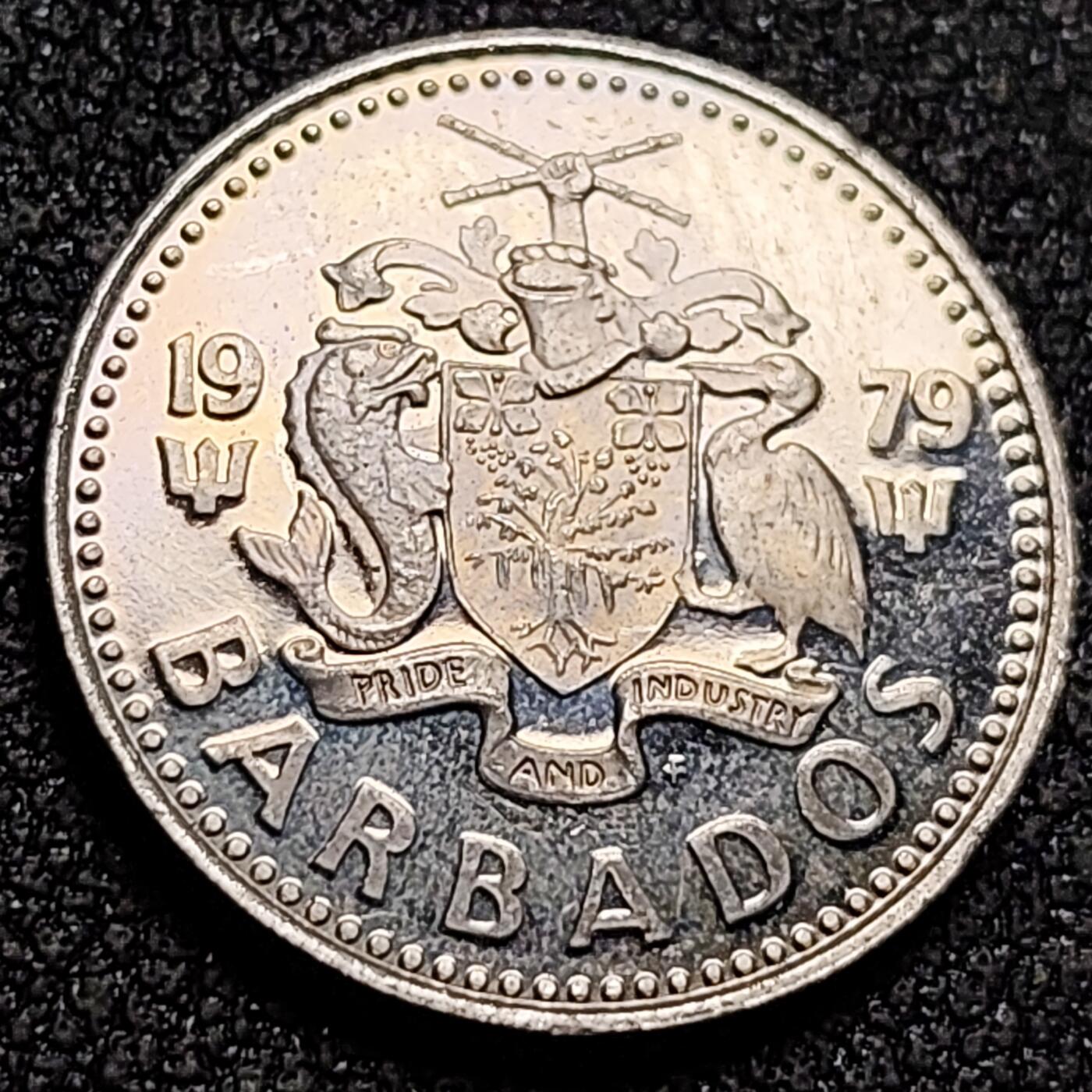 泉币菌-第154场-圣诞节专场 。