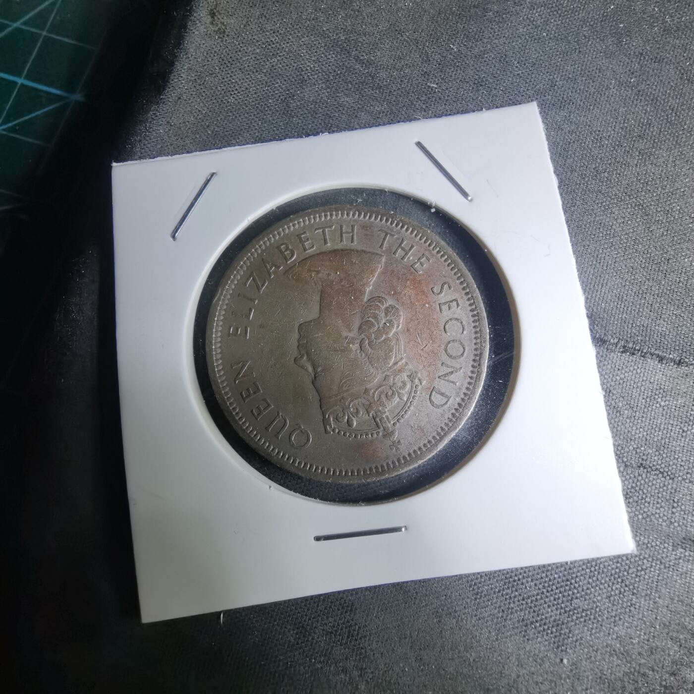 沼泽如烟--第945场