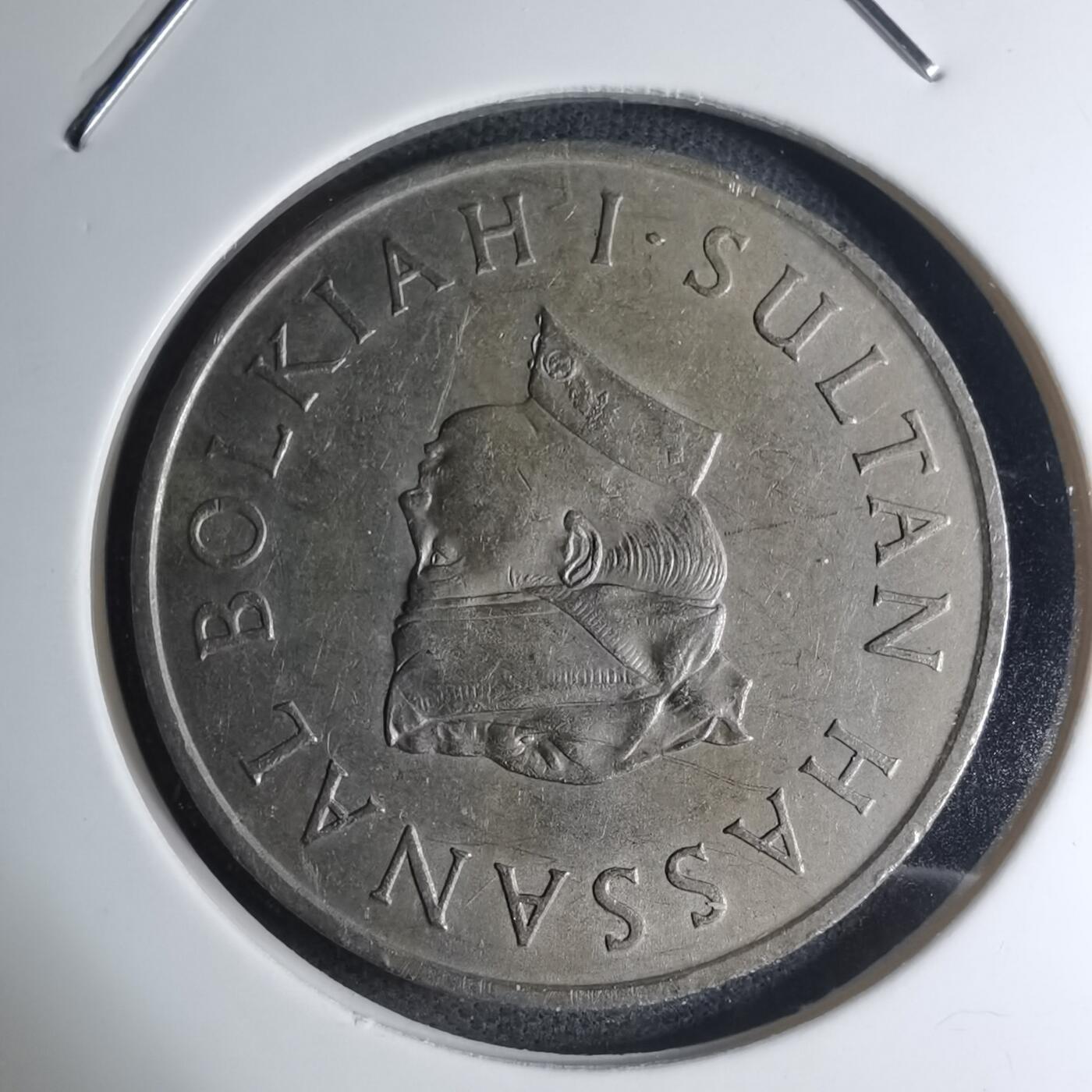 沼泽如烟--第945场