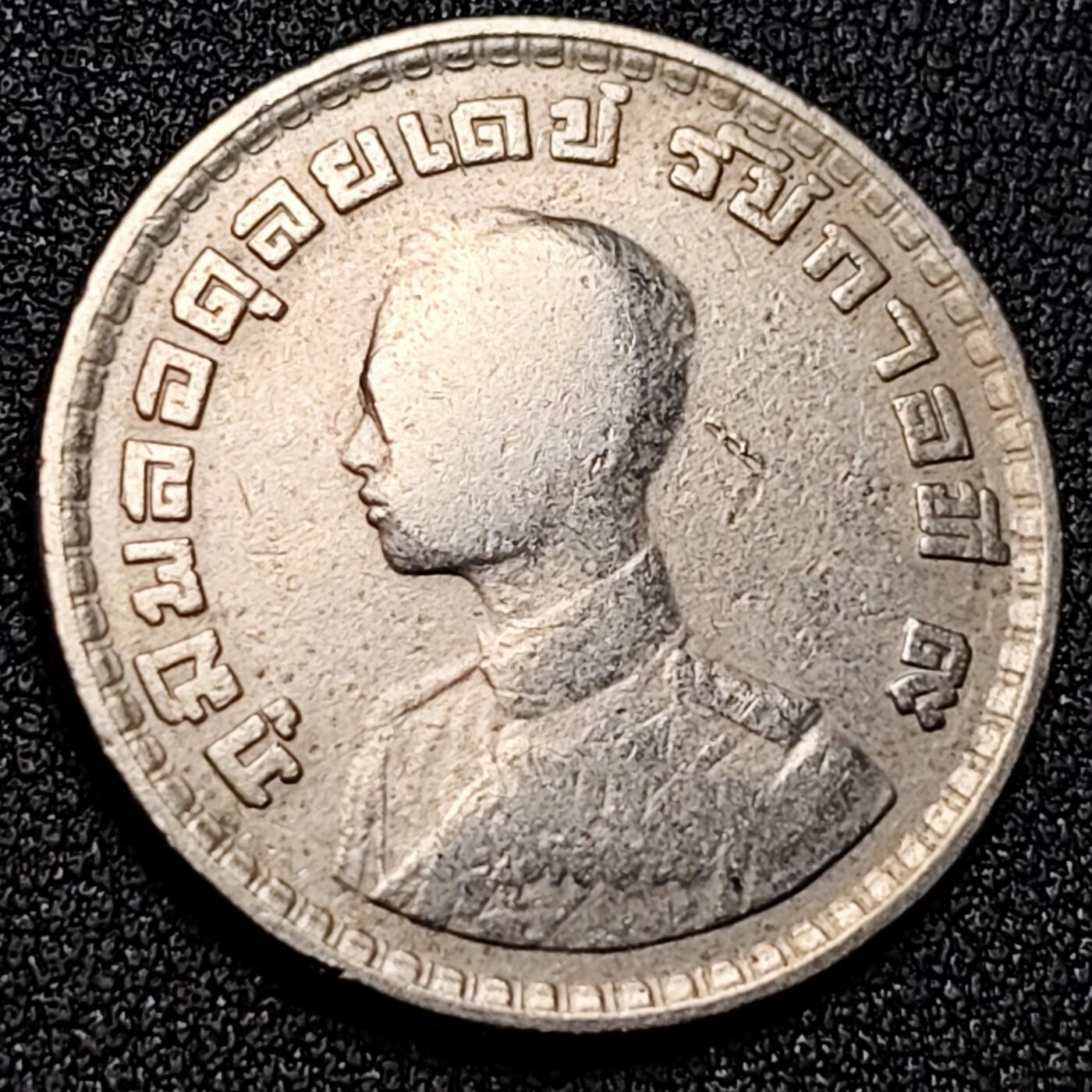 泉币菌-第154场-圣诞节专场 。