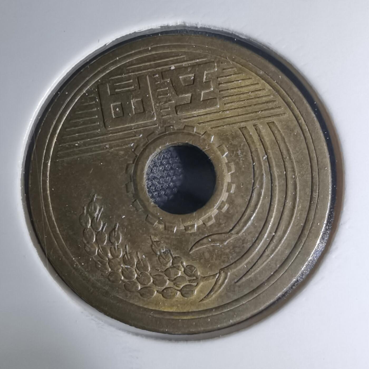 沼泽如烟--第945场