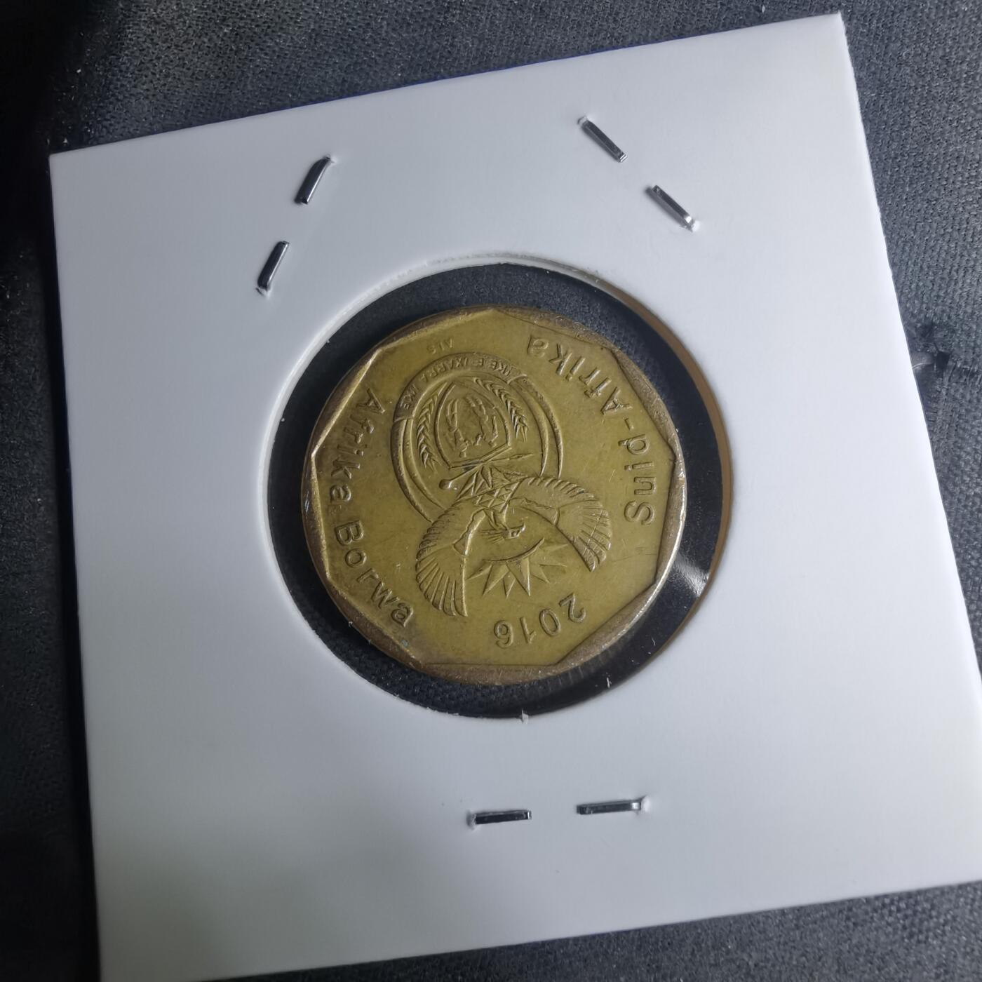 沼泽如烟--第945场