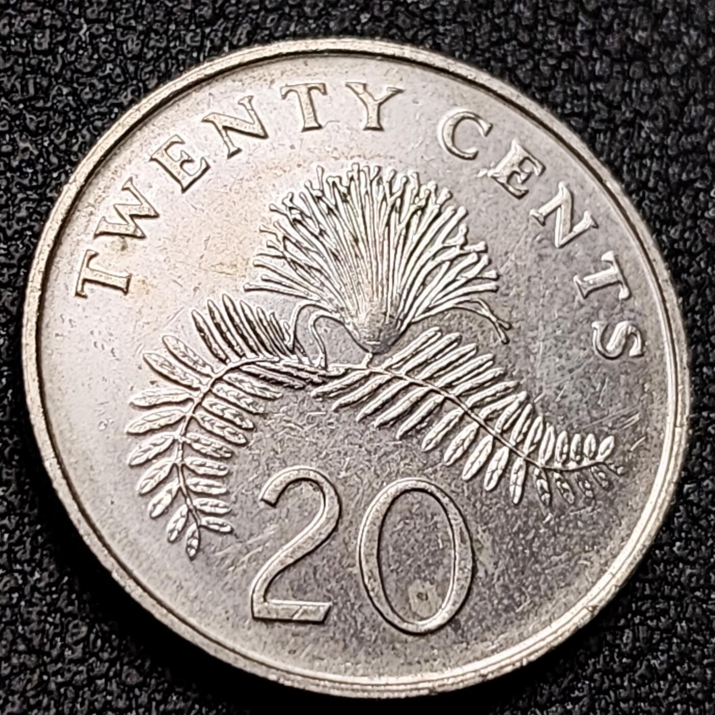 泉币菌-第154场-圣诞节专场 。