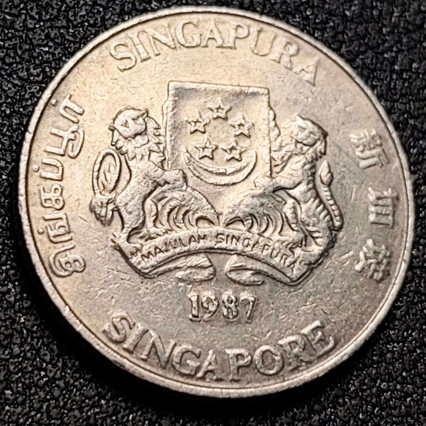 泉币菌-第154场-圣诞节专场 。