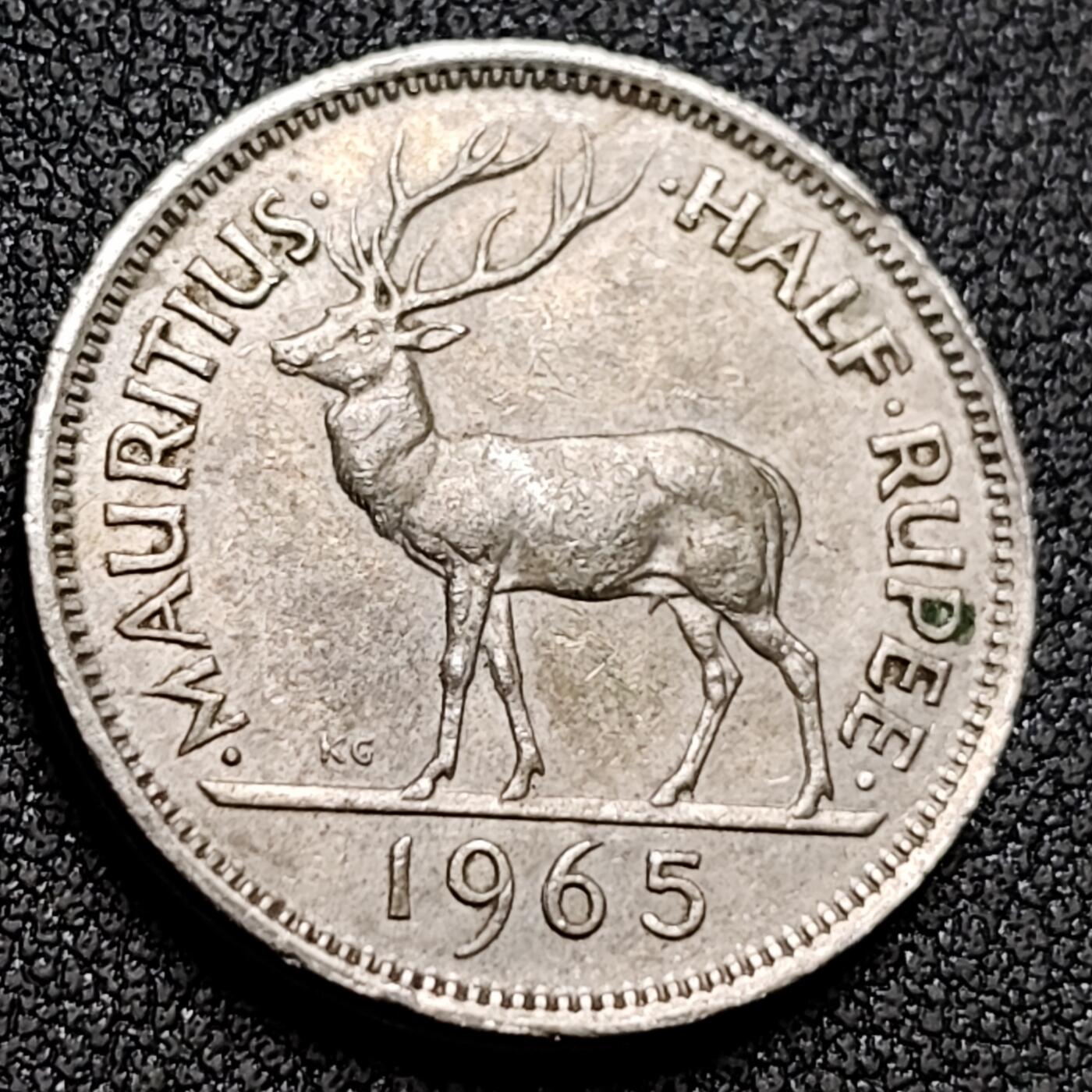 泉币菌-第154场-圣诞节专场 。