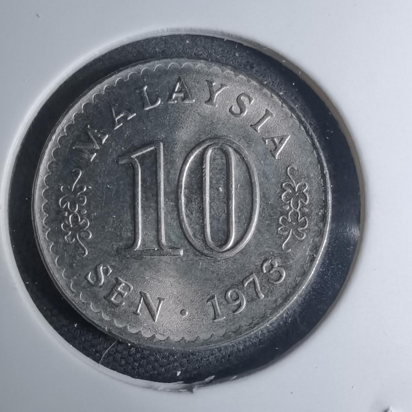 沼泽如烟--第945场