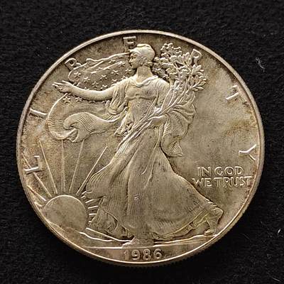 【全场包邮】纯粹捡漏拍489场（免费代拍第26场） - 美国1986年1元行走女神首年份1盎司（40.6毫米31.1克）999纯银币