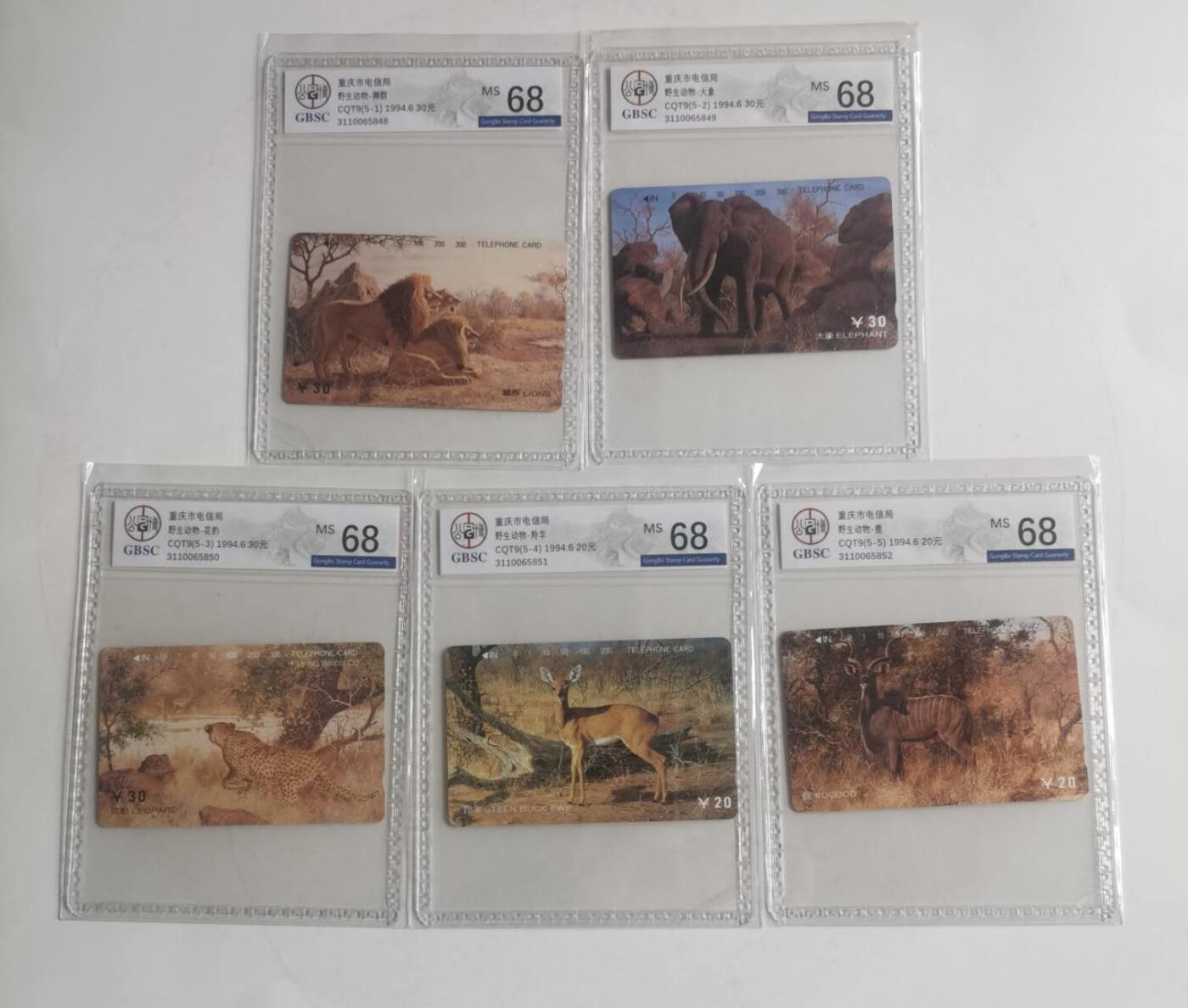 公藏第128期评级卡拍卖 重庆田村卡【珍稀动物】5全公博68分。