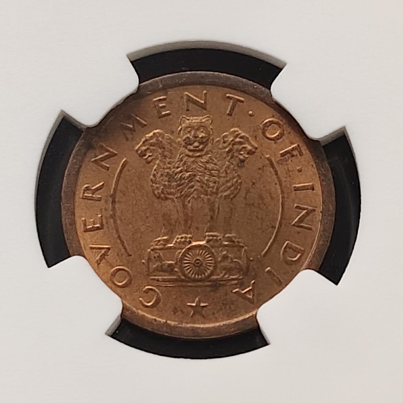 【全场包邮】纯粹捡漏拍489场（免费代拍第26场）