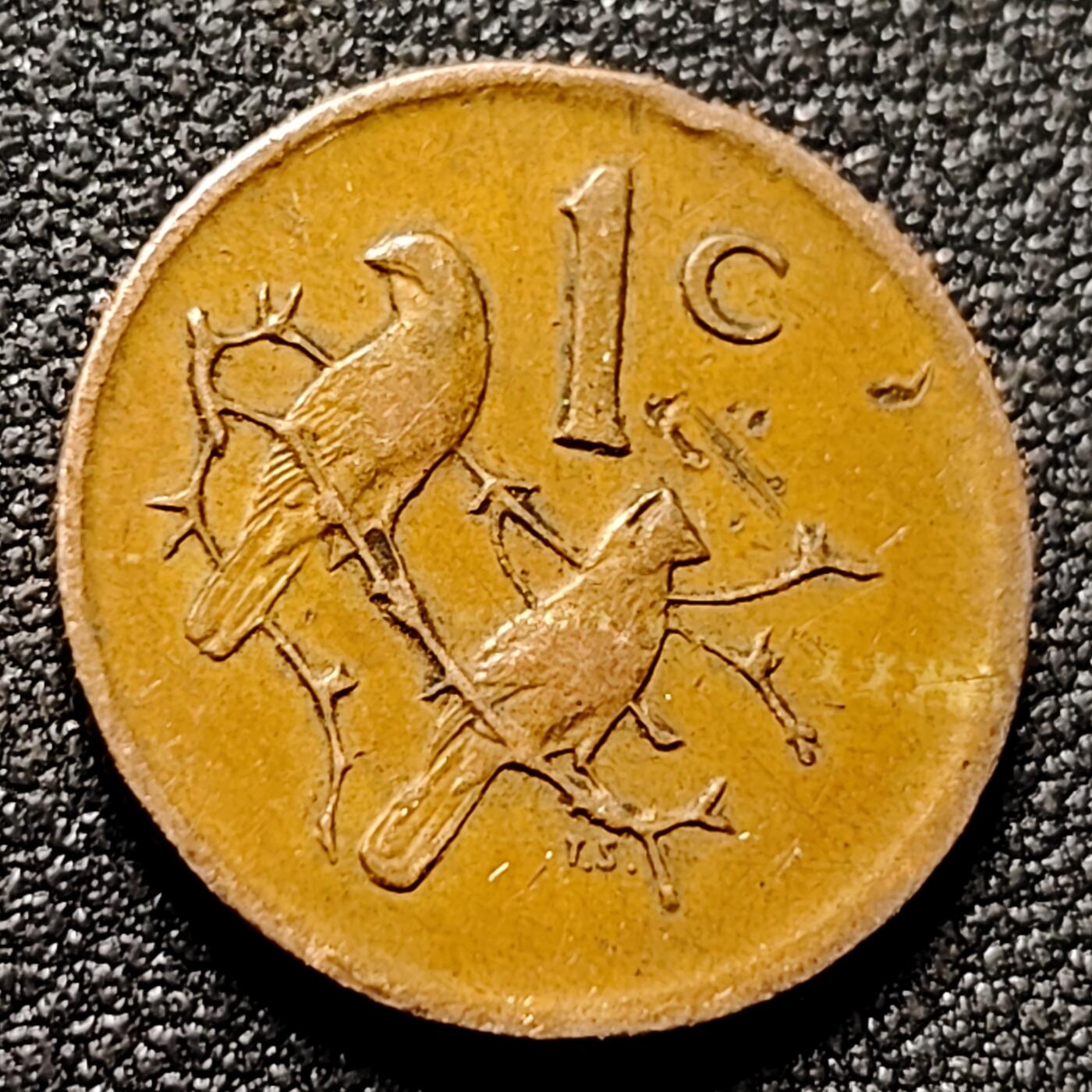 泉币菌-第154场-圣诞节专场 。