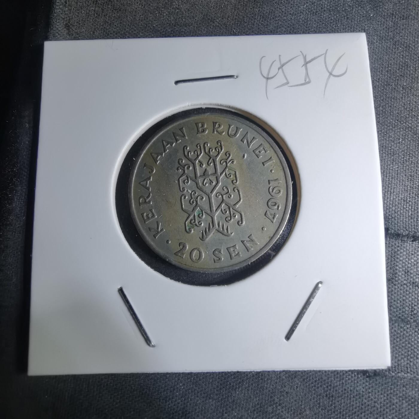 沼泽如烟--第945场