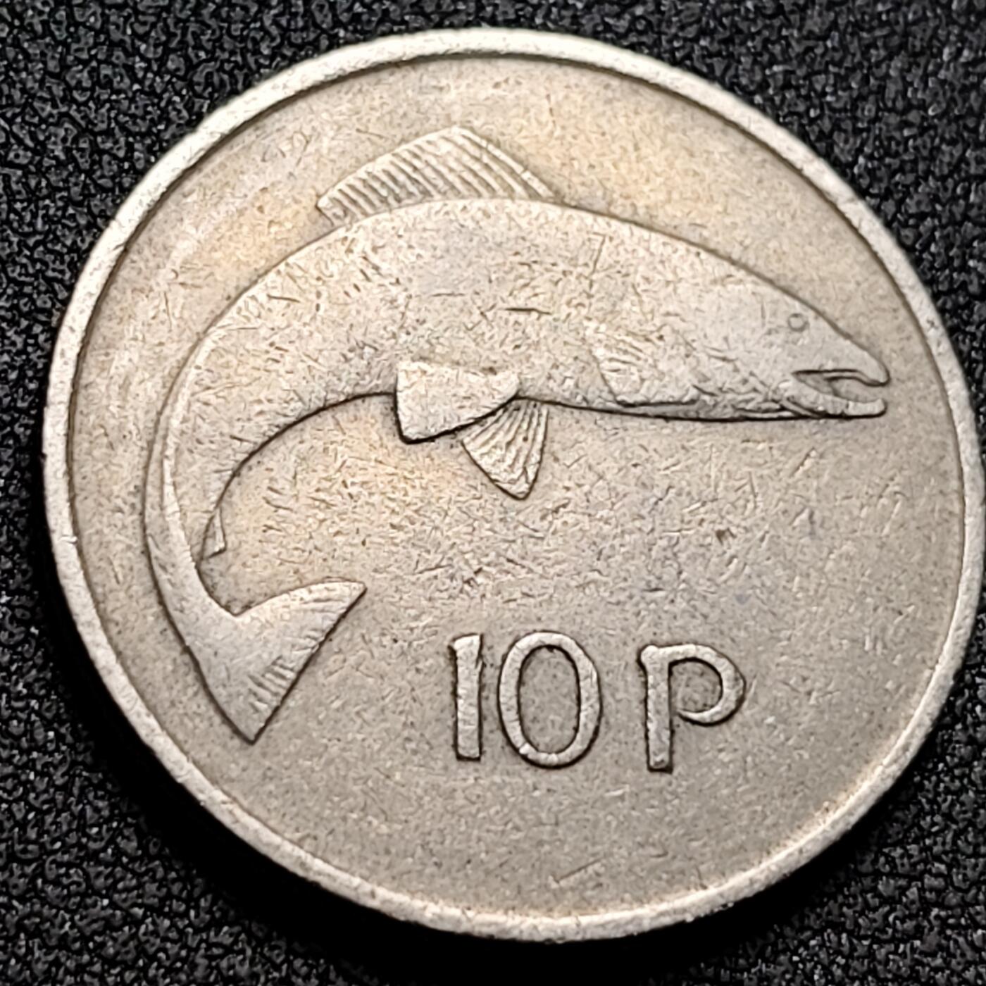 泉币菌-第154场-圣诞节专场 。