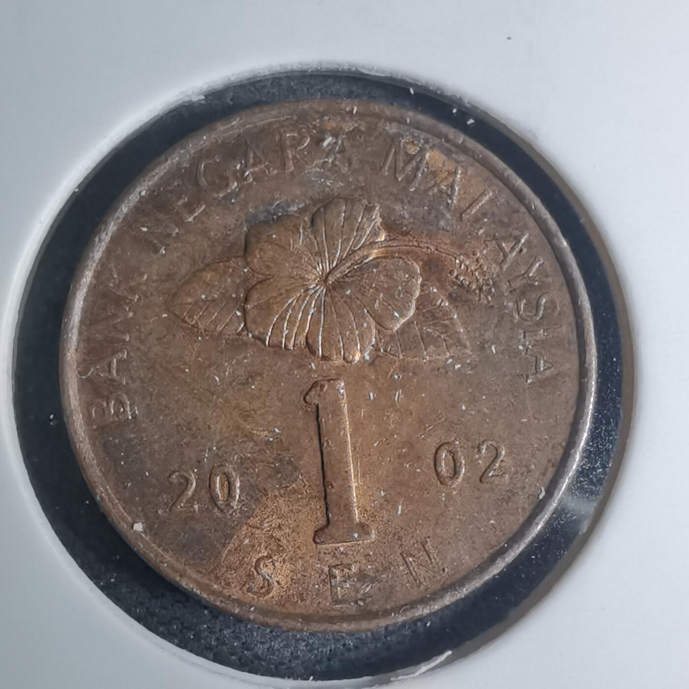 沼泽如烟--第945场