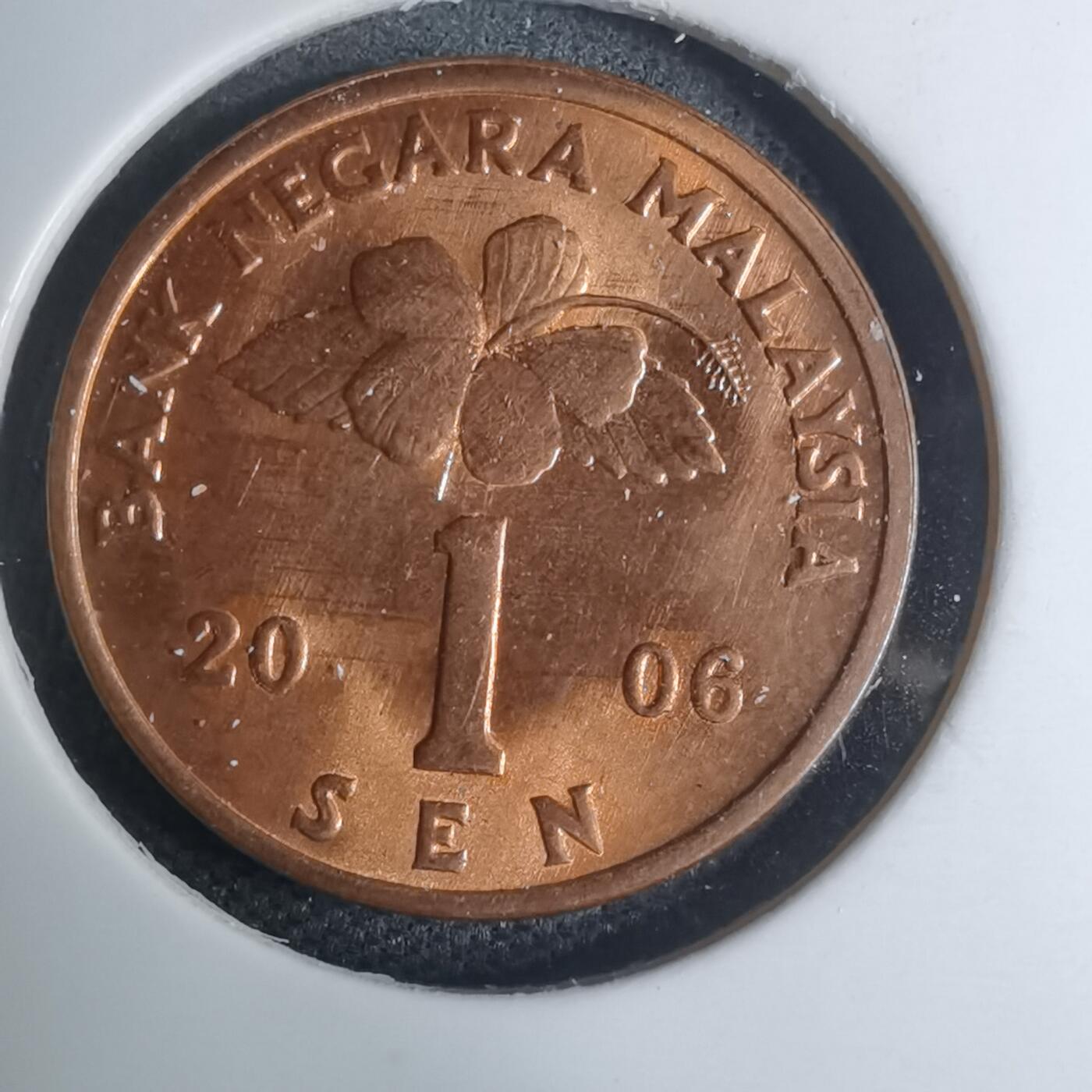 沼泽如烟--第945场