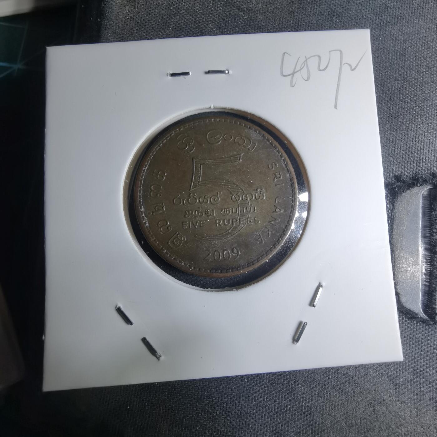 沼泽如烟--第945场