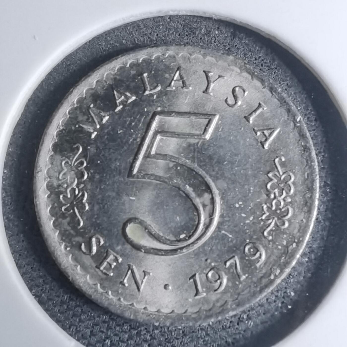 沼泽如烟--第945场