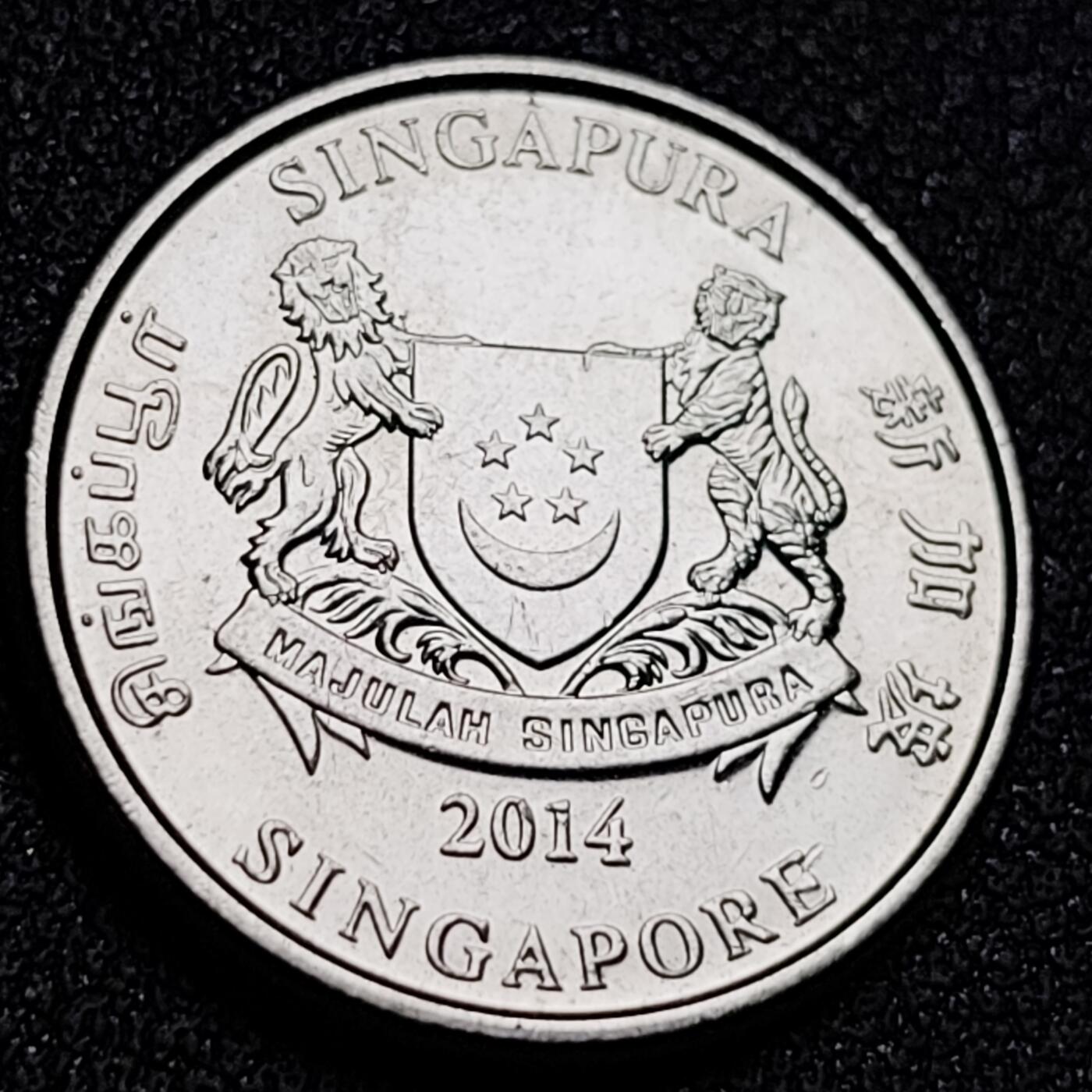 泉币菌-第154场-圣诞节专场 。