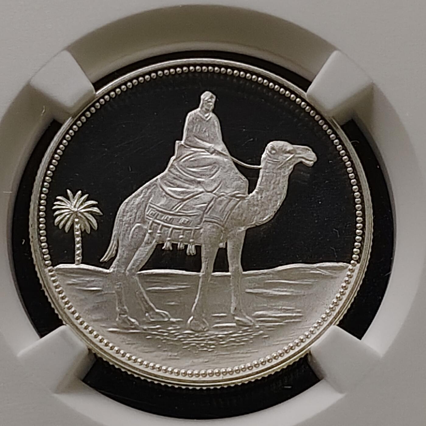 【全场包邮】纯粹捡漏拍489场（免费代拍第26场）