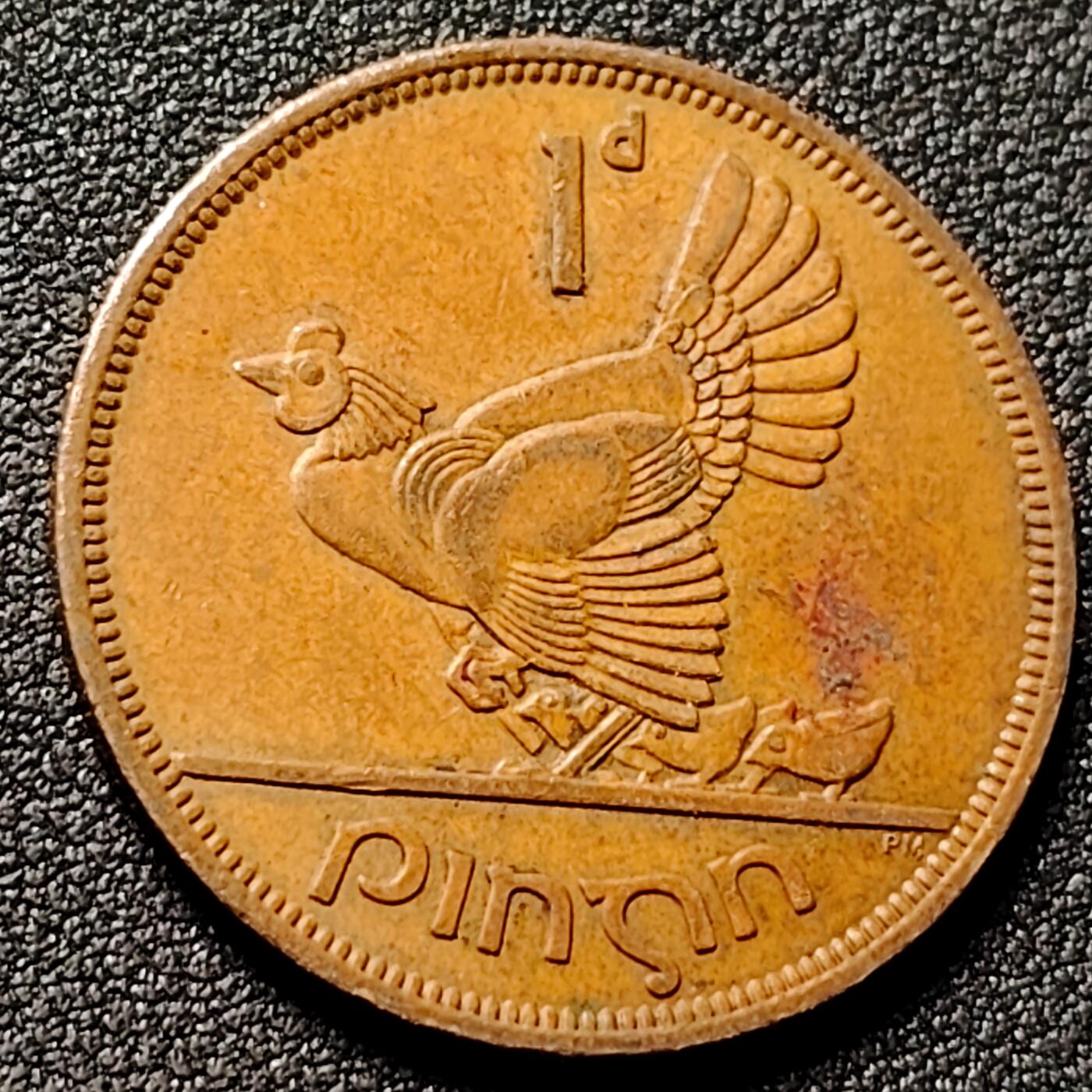 泉币菌-第154场-圣诞节专场 。