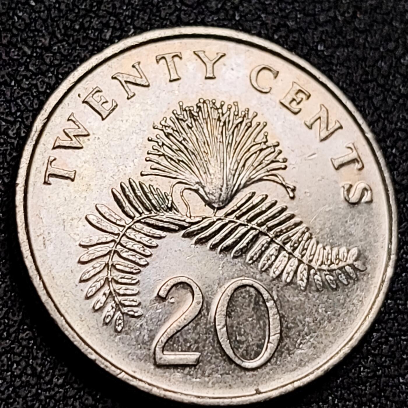 泉币菌-第154场-圣诞节专场 。