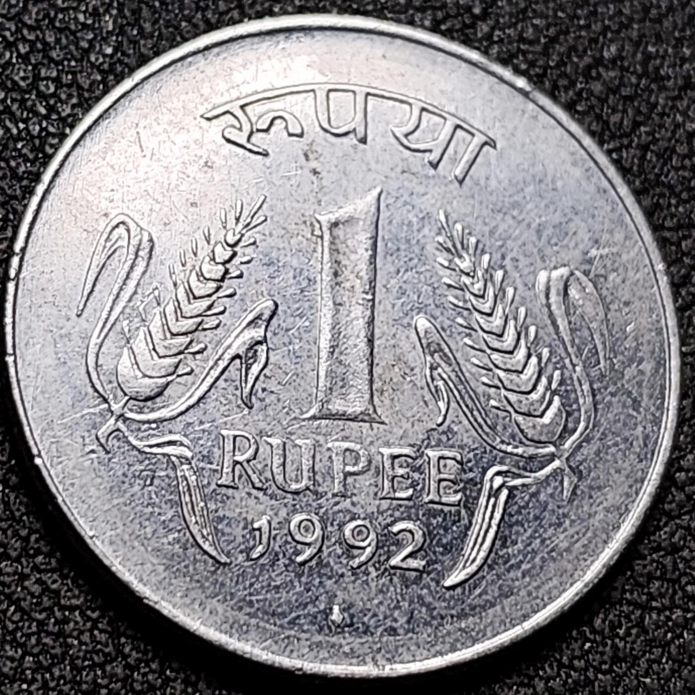 泉币菌-第154场-圣诞节专场 。