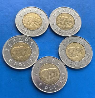 外国优质老铜币高银银币，周六九点倒数截拍，满百包邮，持续收拍 - 加拿大北极熊2元5枚