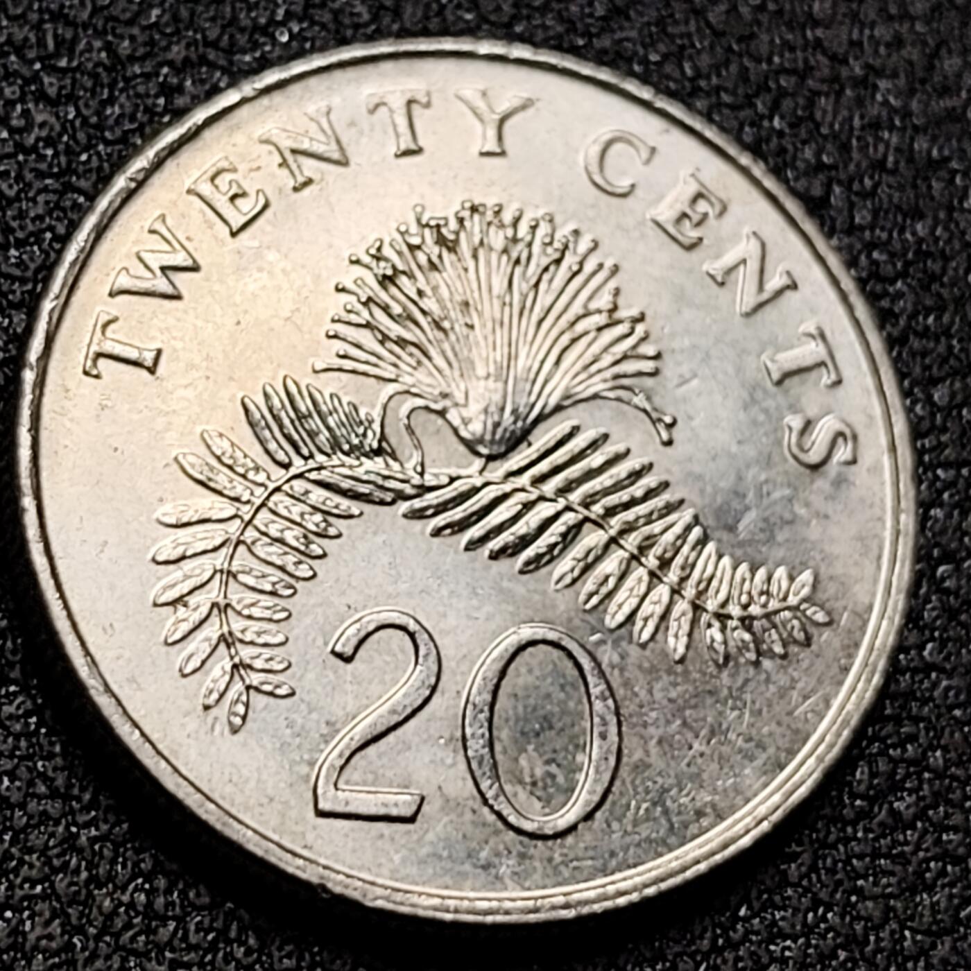 泉币菌-第154场-圣诞节专场 。