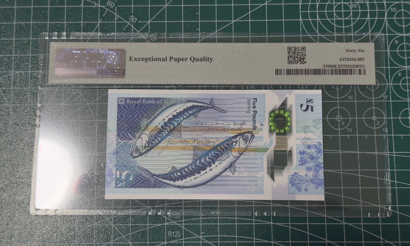 【礼羽收藏】🌏世界钱币拍卖第117期