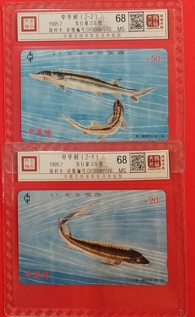 《鸿通俱乐部》拍卖第69期 2025年12月24日21：00延时节拍 - 湖北田村新卡《中华鲟》2全  鸿通  68分*2